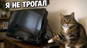 Смех до слёз: лучшие приколы №258