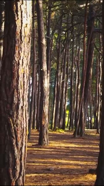 Геленджик, голубая бездна