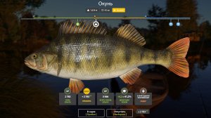 ОКУНЬ ТРОФЕЙНЫЙ!!!КОМАРИНОЕ ОЗЕРО - РУССКАЯ РЫБАЛКА 4