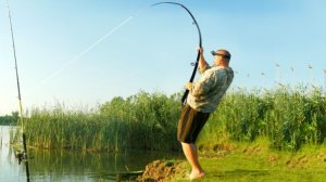 ЗАКИНУЛ УДОЧКИ МЕЖДУ КАМЫШЕЙ, ОНИ КЛЮЮТ ОДИН ЗА ДРУГИМ!