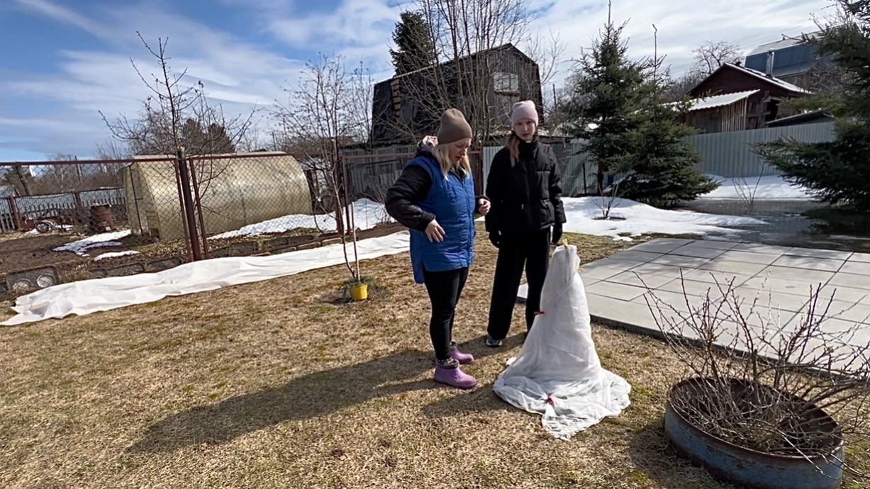 11 апреля. На даче. Открыли грушу, виноград. Авария на ровном месте