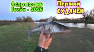 🔥Виброхвост и первый СУДАК на Волге! Рыбалка в Астрахани апреле-2026!!! Сезон открыт...