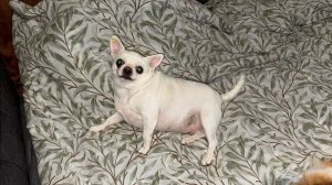 Всем наидобрейшего утречка и легкого начала дня.