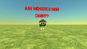 как менялся мой скин?
