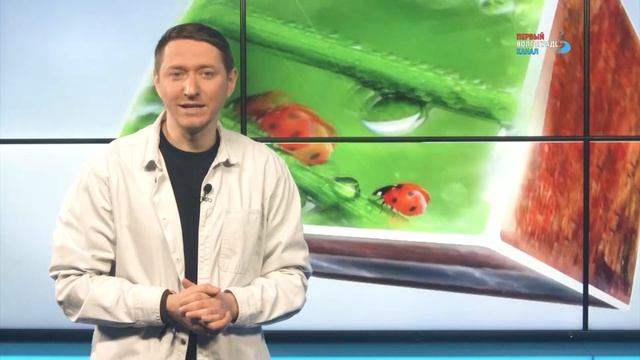 Чего нельзя делать 14 апреля, иначе ждёт упадок сил и черная полоса