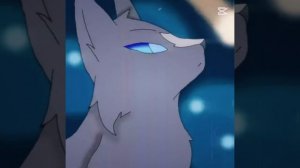 Эдит- Синяя Звезда || Коты- Воители