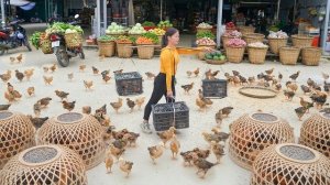 Купила цыплят для выращивания на ферме. Готовлю почву и сажаю овощи в саду. Серия 86. Ли Фук Ви