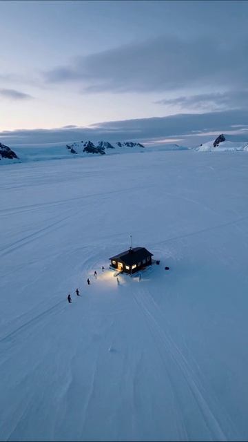 Заснеженный мир: жизнь на полюсе #Антарктида #приключения #природа