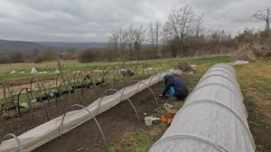 2026-03-27 ПО 31 ПОСАДИЛИ КЛУБНИКУ. ПОСАДИЛИ КАРТОШКУ В СЕНО. ПОСАДИЛИ КАБАЧКИ