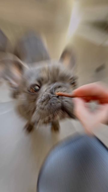 Наш маленький внедорожник🛻