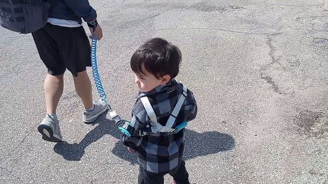 Зелёный трактор