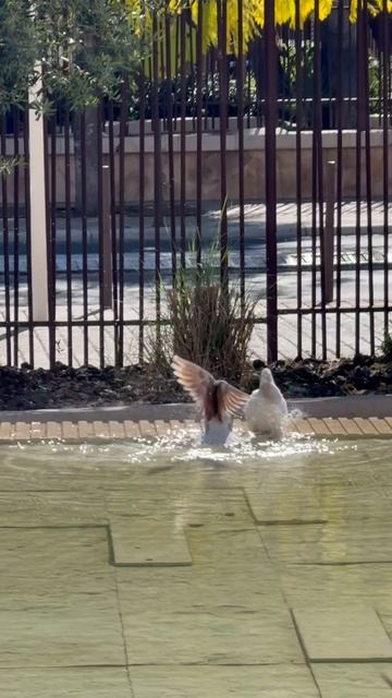 Приватный пляж 🏖️