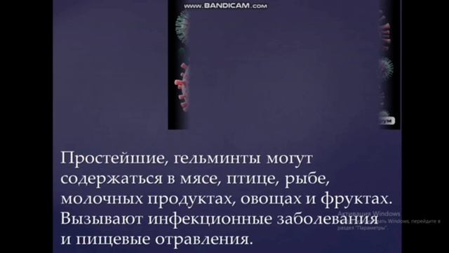 О правильном питании замолвим словечко! (ПРОВЕРЕНО)