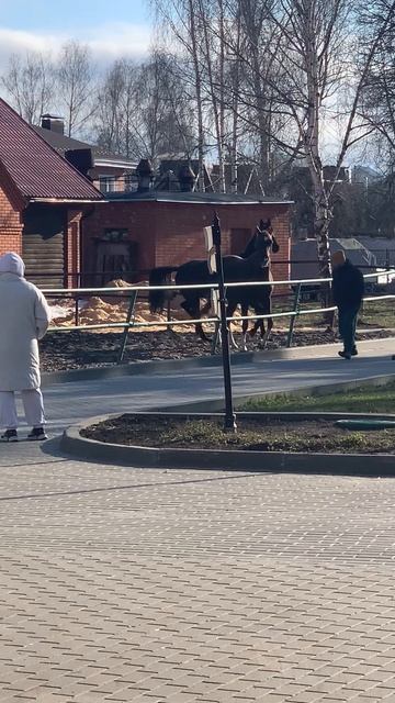 Малиновая слобода