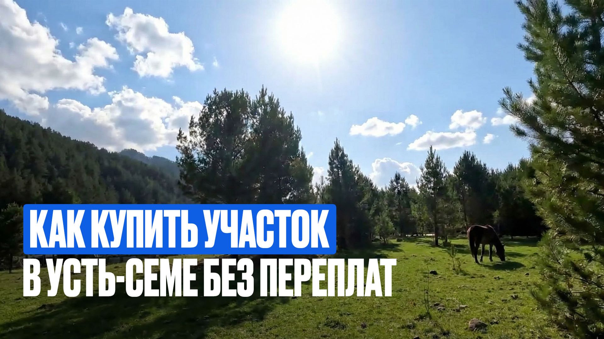 Продажа участков в Чемальском районе в с. Усть-Сема