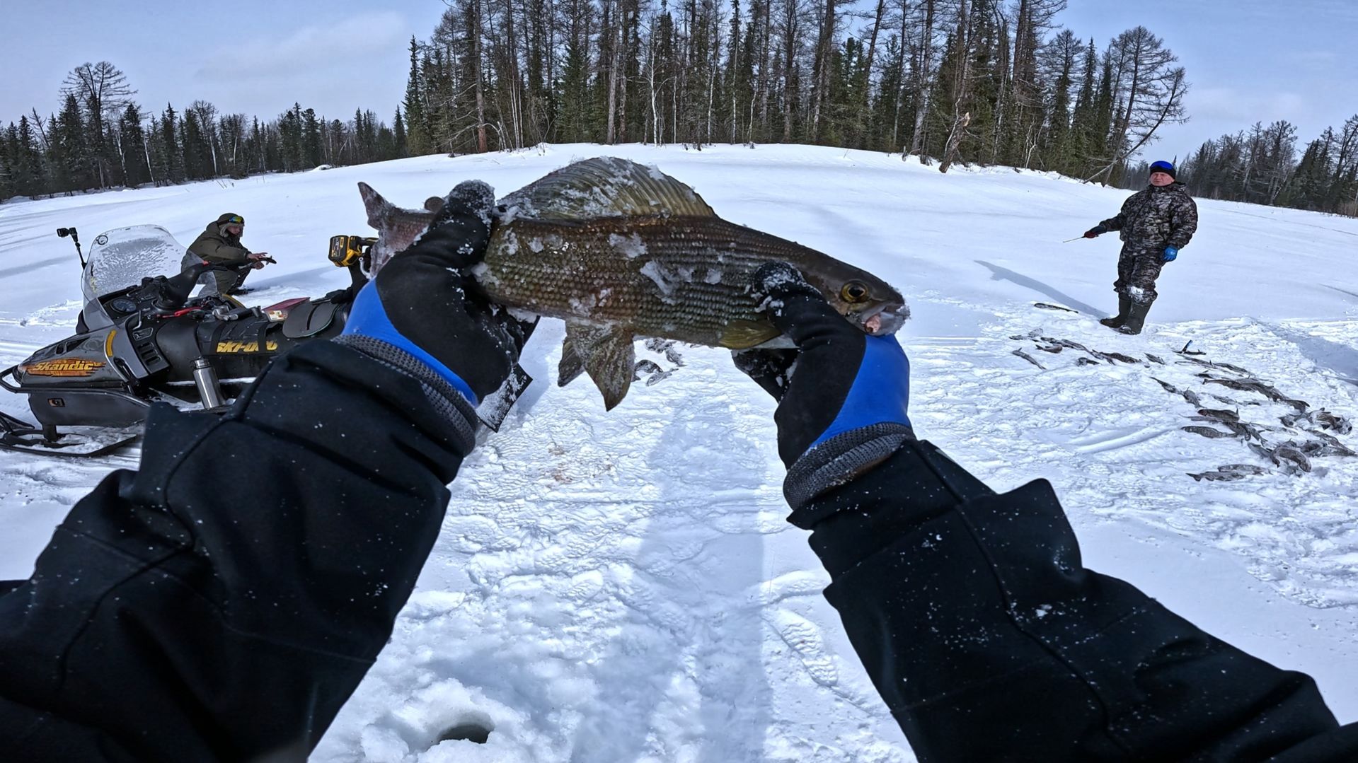 Если это сон, не будите меня | Лучшая рыбалка на хариуса| Начало