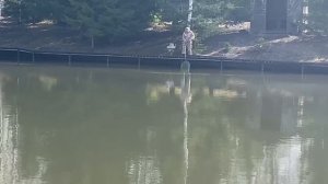 Основной водоём