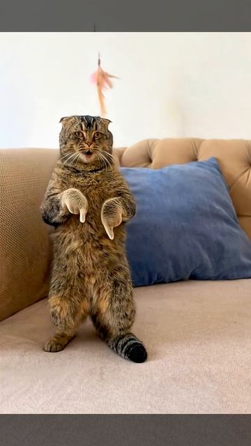 Что же я хочу сказать!