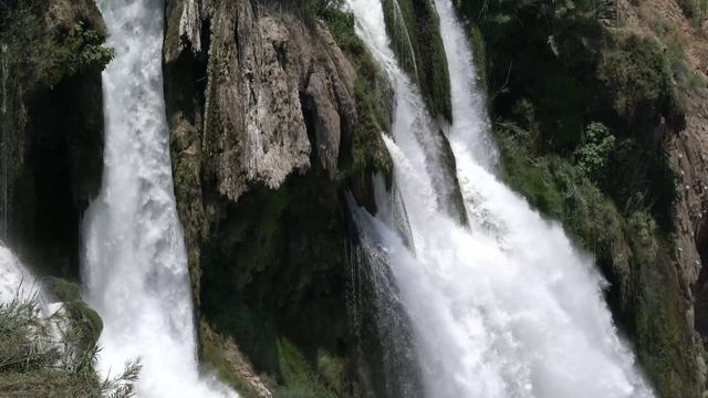 Звуки дикой природы: Секрет идеального сна у водопада