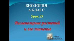 биология 6 класс лекция 25 по теме Размножение растений и его значение