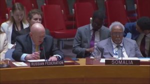 20260413 ONU CS Nebenzja UE