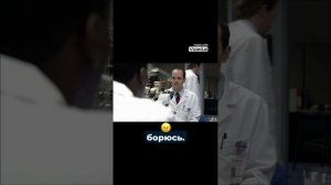 Будни в безумной корпорации: от тыкв-убийц до стресса