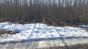 Весна на севере 12.04.26