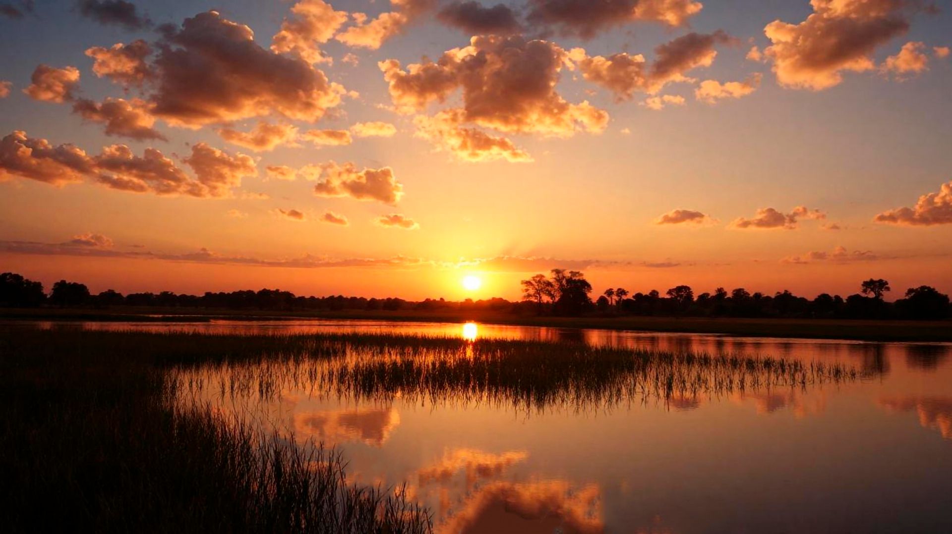 ✨ УСПОКАИВАЮЩАЯ МУЗЫКА ДЛЯ СНА 🎵 ОЧЕНЬ КРАСИВАЯ МУЗЫКА ДЛЯ ДУШИ 🎵 РЕЛАКС МУЗЫКА ДЛЯ МЕДИТАЦИИ