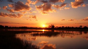 ✨ УСПОКАИВАЮЩАЯ МУЗЫКА ДЛЯ СНА 🎵 ОЧЕНЬ КРАСИВАЯ МУЗЫКА ДЛЯ ДУШИ 🎵 РЕЛАКС МУЗЫКА ДЛЯ МЕДИТАЦИИ