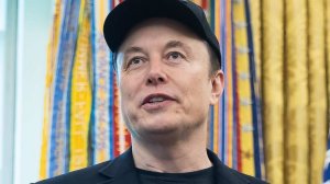 Маск: власть в Венгрии захватила организация Сороса