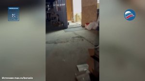 Трагедия на море: более 200 погибших и измазанных в нефтепродуктах птиц нашли на берегу в Анапе