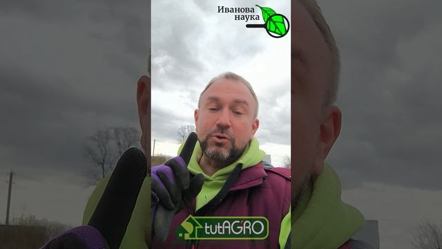 Чистые ГРЯДКИ БЕЗ ПРОПОЛКИ: один весенний секрет. Сорняков больше не будет: главное весеннее дело.