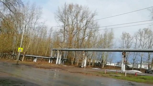 Вышло и солнце к нам после дождя