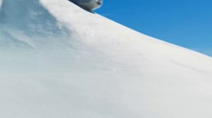 ⭐BEST⭐ More Racing Seal, Goated Subscribers  Binge Watching  SEALOOK Compilation