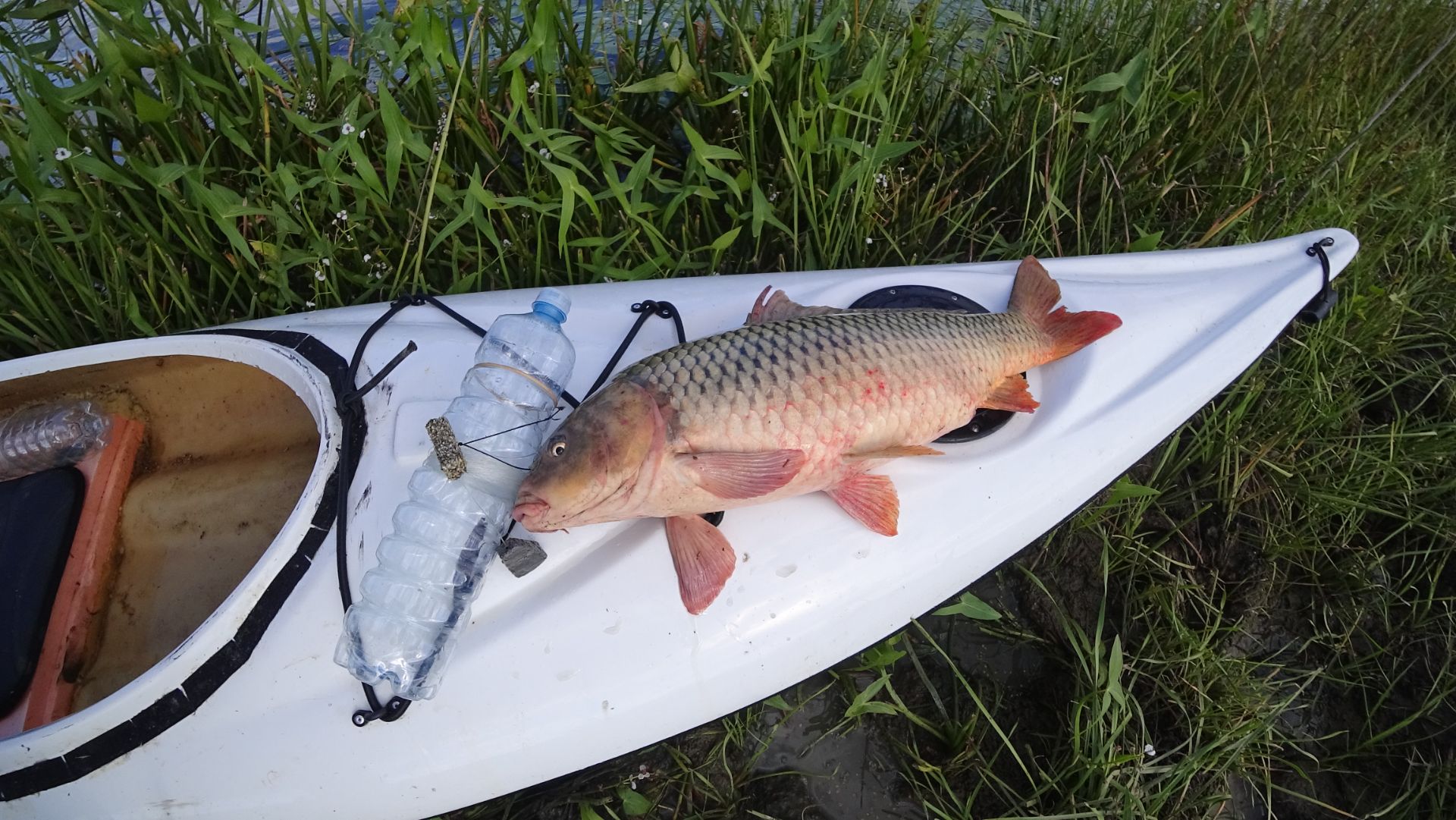 САЗАН на БУТЫЛКУ и ЗАКИДУШКУ. СУДАК убегает, ЩУКА атакует. Первый раз на каяке! Рыбалка на хищника.