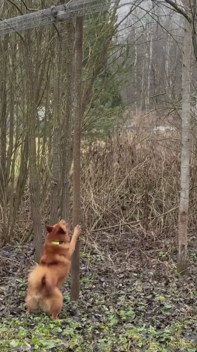 ОХОТА на все, что не хочет ловиться! The HUNTING For All That Cannot Be Caught!