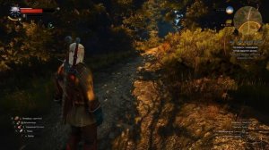 The Witcher 3 Серия 47