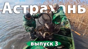 Рыболовство как профессия. Рыболовный промысел в Астрахани.