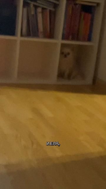 Наша семья ❤️