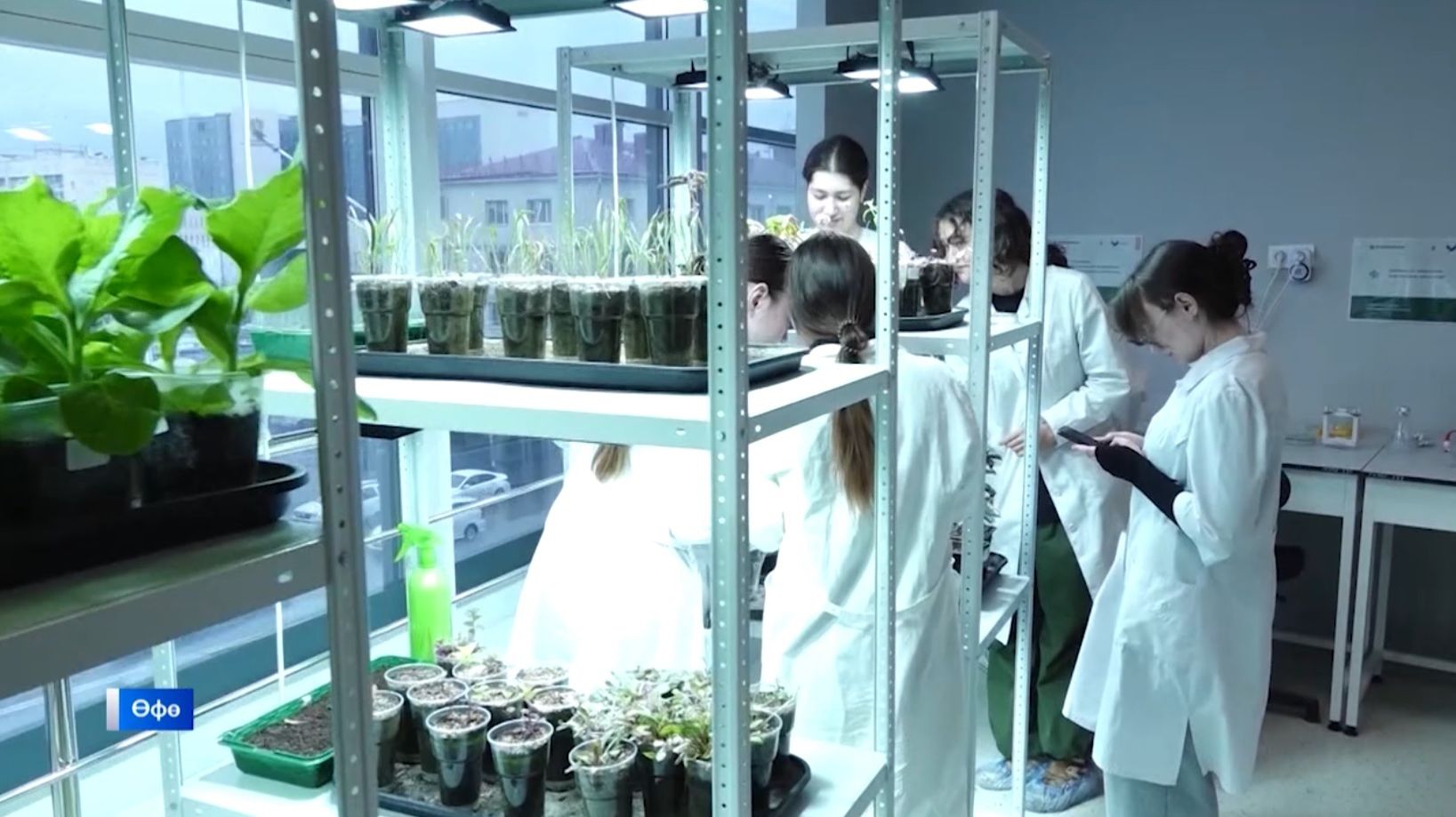 Йыһанда гөл үҫтереп буламы?