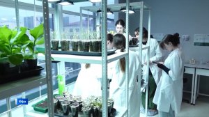 Йыһанда гөл үҫтереп буламы?