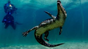 Крокодил чуть не откусил руку 72-летнему дайверу