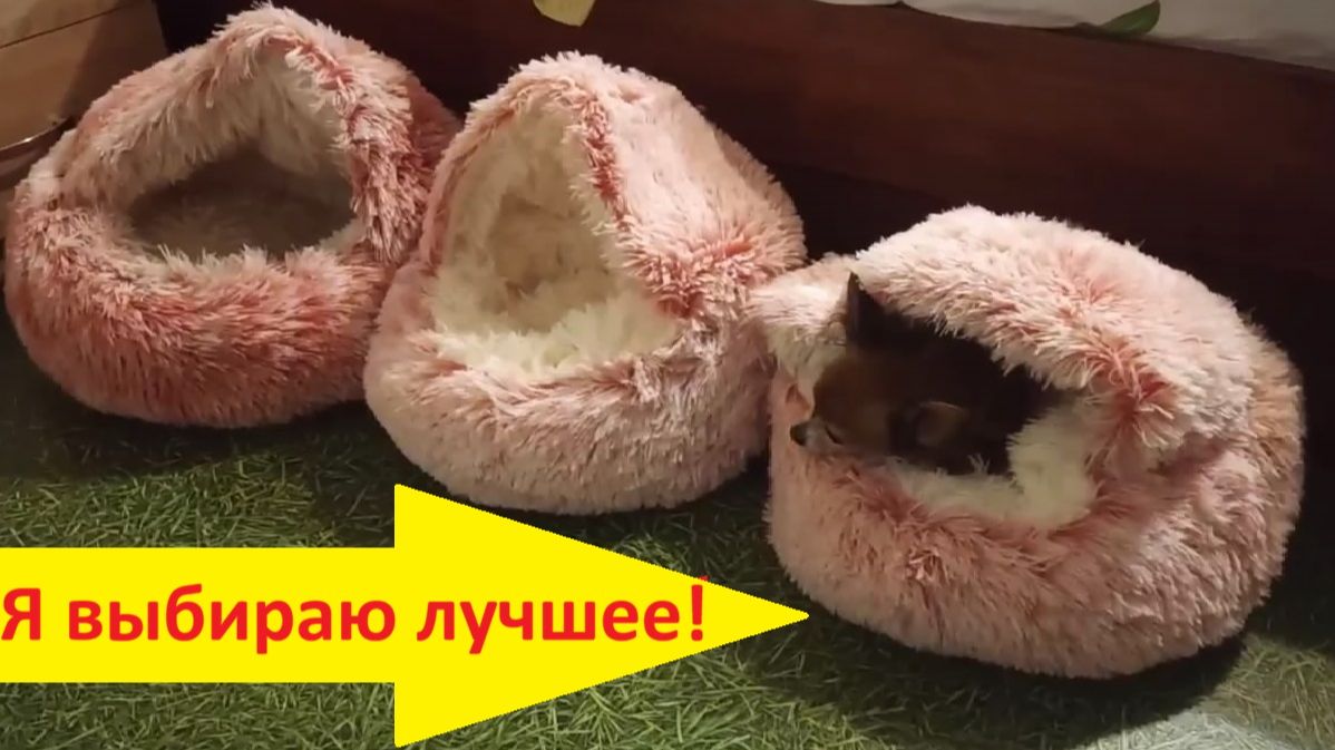 Я выбираю лучшее!