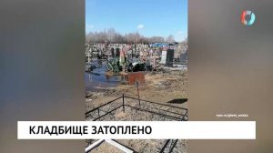 Топит кладбище