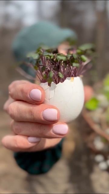 Композиция: гнездо