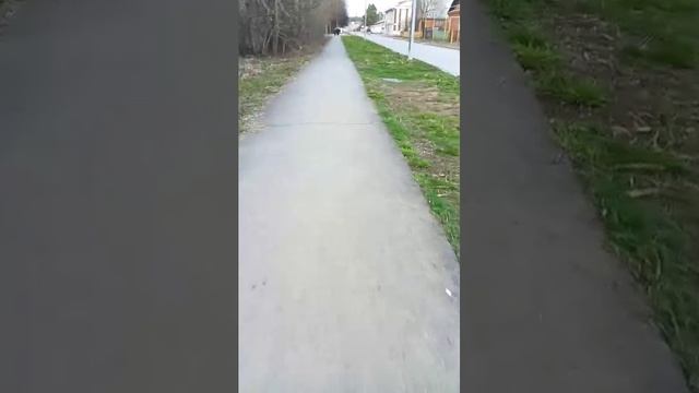 вечерний стрим