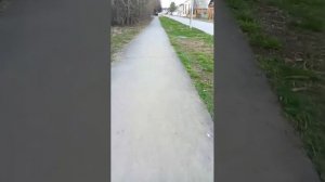 вечерний стрим