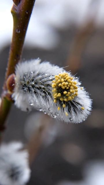 Тот редкий кадр, где мелочь цепляет сильнее всего