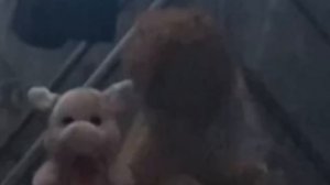 Приключения мауса и тарлсона серия 1 Приключения мауса