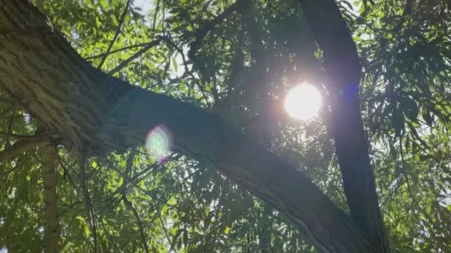 когда жизнь снова начинает ощущаться так [lofi]